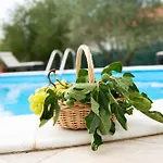 Villa Bistre Radovin