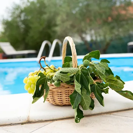 Villa Bistre Radovin